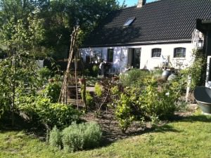 Havehuset Havehuset set fra haven