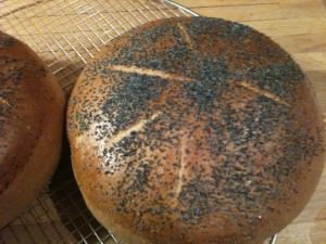 Runde brød Runde brød med blå birkes
